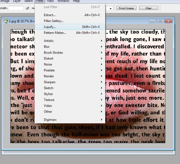 Creation of Labret Literature: Step 6